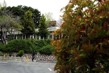 بهار در قاب دانشگاه علوم بهزیستی و توانبخشی